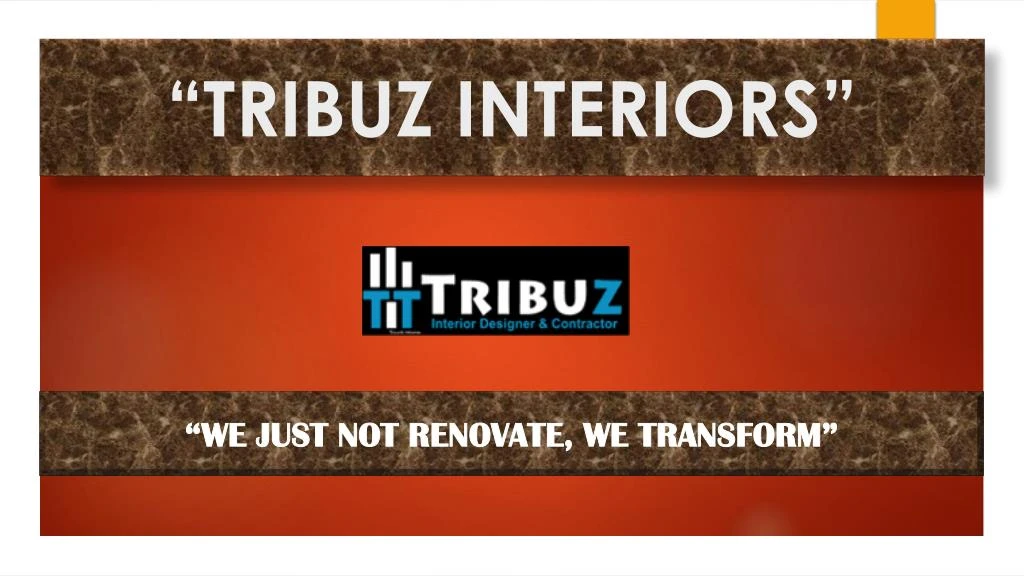 tribuz interiors