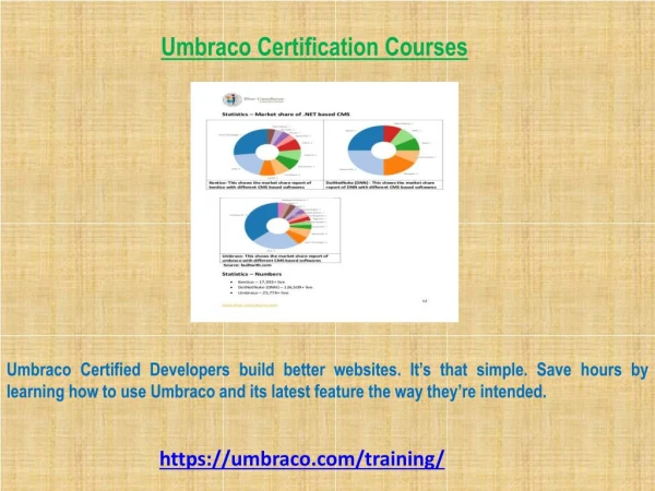 Umbraco Certification Courses