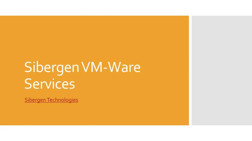 sibergen vm ware services