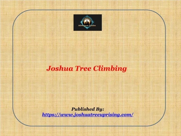 Joshua Tree Climbing