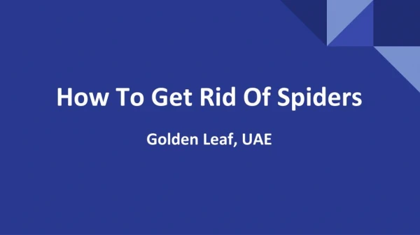 Pest Control Service in Dubai | Glpc-uae.com