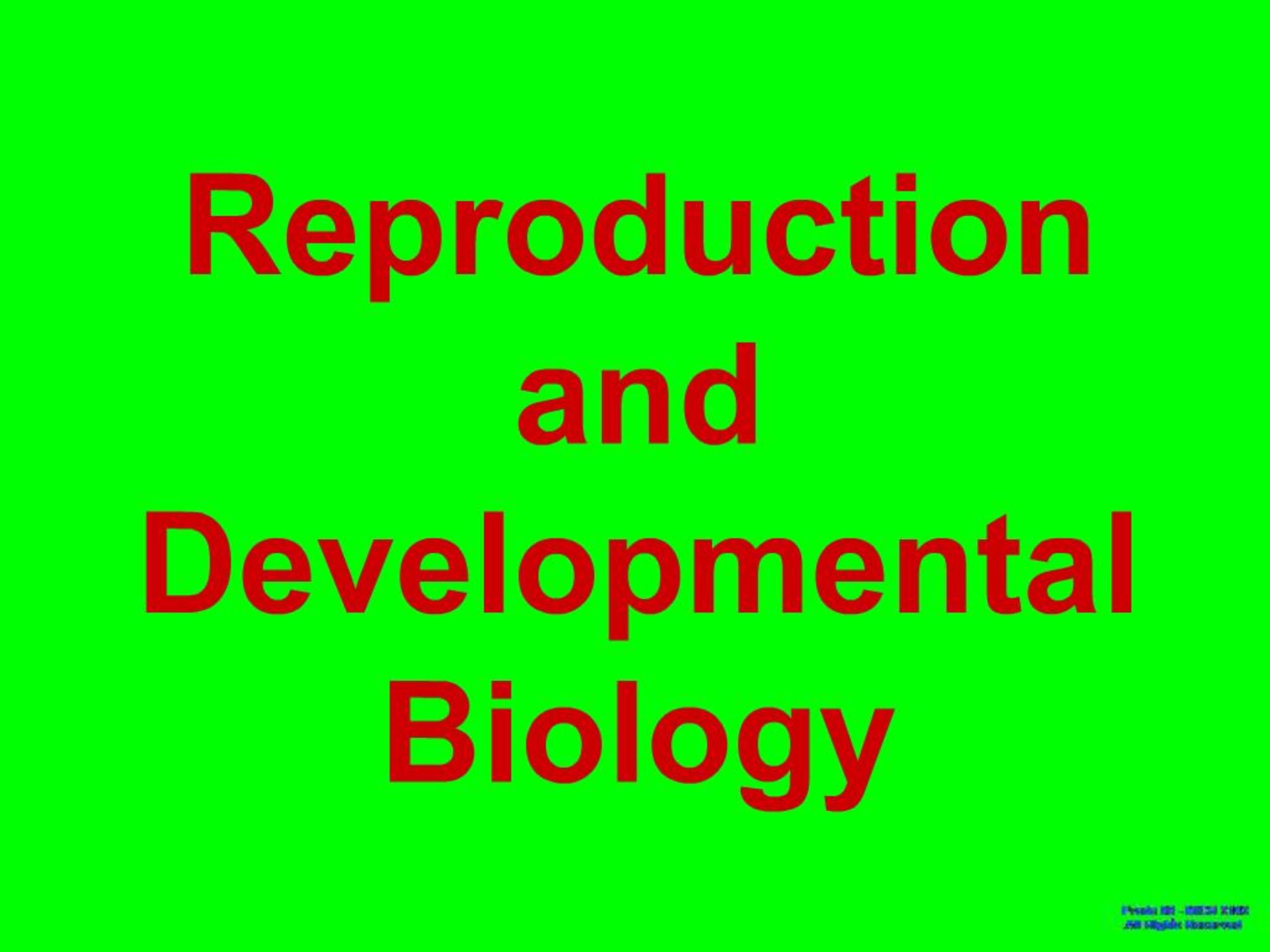PPT - Reproduction and Developmental Biology PowerPoint Presentation ...