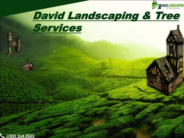 Get new look for landscaping hire us