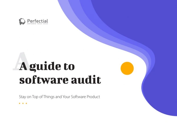 A Guide to Software Audit