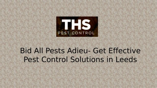 Bid All Pests Adieu- Get Effective Pest Control Solutions in Leeds