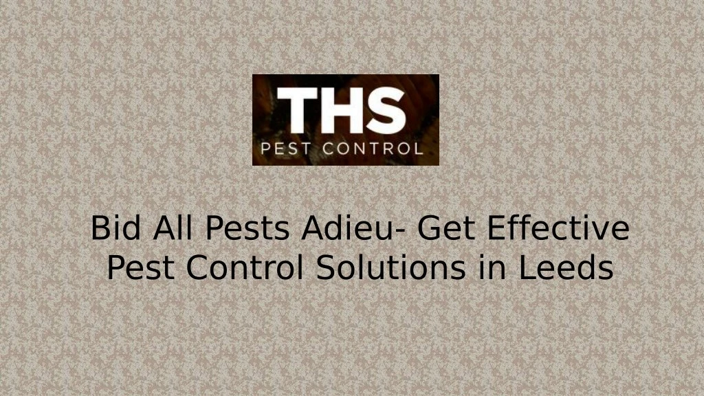 bid all pests adieu get effective pest control