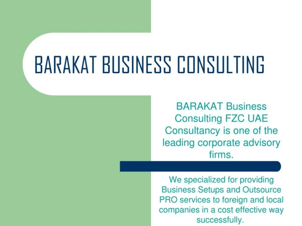 Business Consulting Service
