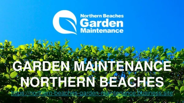 Garden Care Northern Beaches