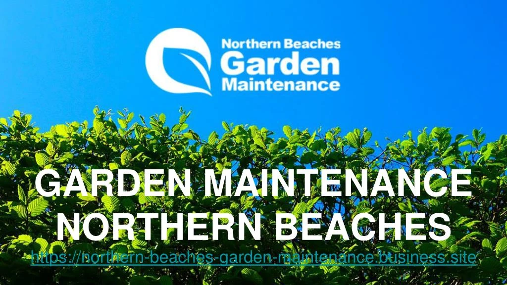 garden maintenance northern beaches