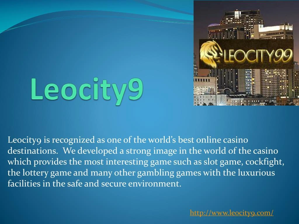 leocity 9