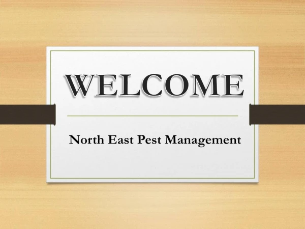 Get the best Pest Control in Launceston