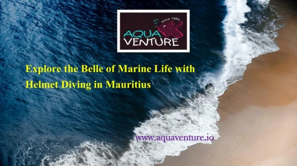 Explore the Belle of Marine Life with Helmet Diving in Mauritius