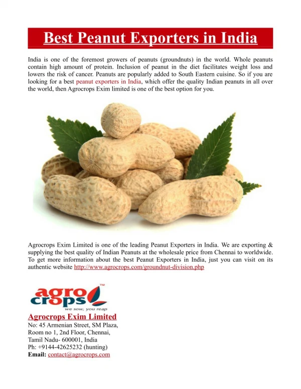 Best Peanut Exporters in India