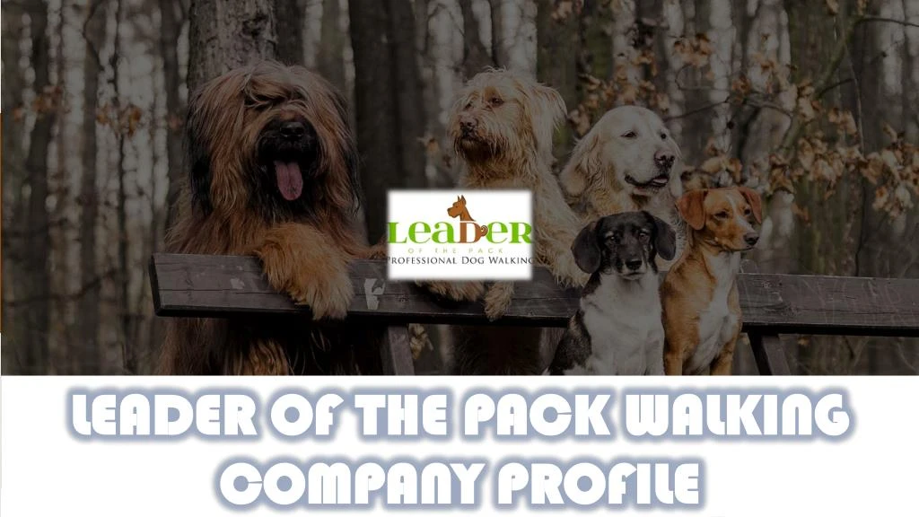 leader of the pack walking company profile