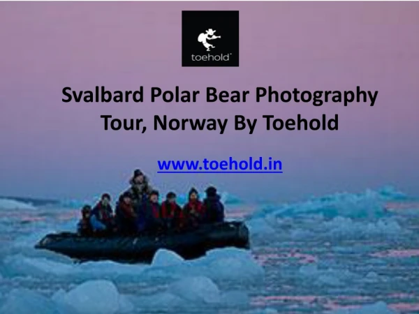 Svalbard, Norway - Polar Bear Photography Expedition