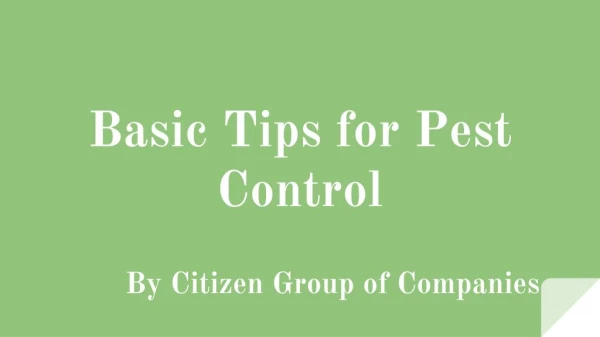 Pest Control Services Dubai - Citizen Group UAE