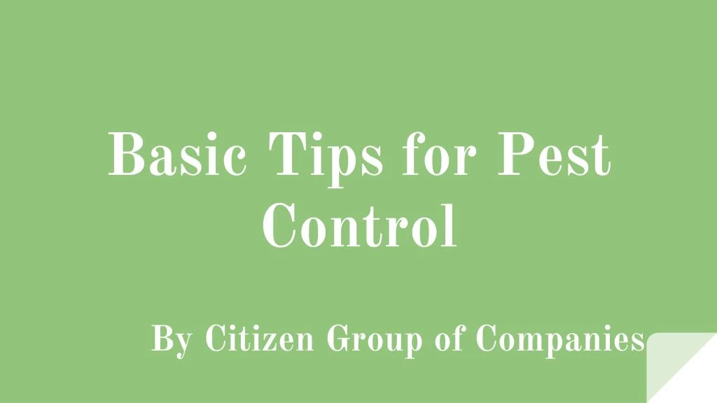 basic tips for pest control