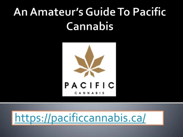 An Amateurâ€™s Guide To Pacific Cannabis