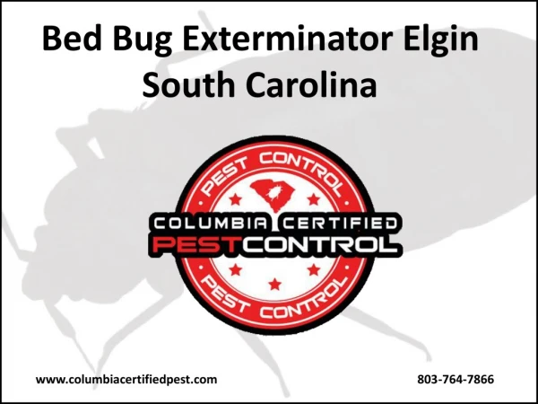 Bed Bug Exterminator Elgin South Carolina