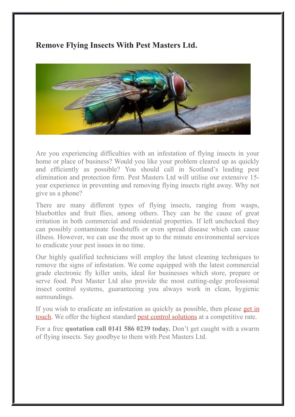 remove flying insects with pest masters ltd