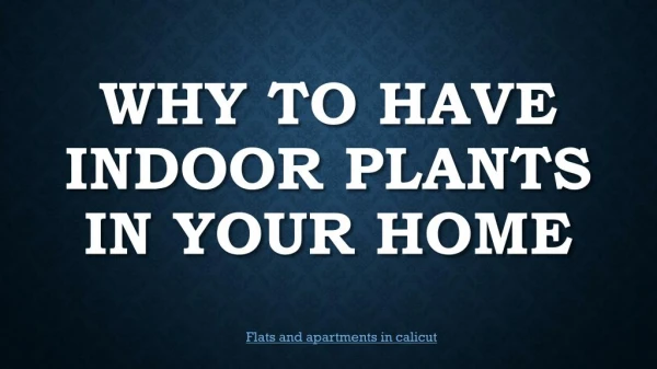 Why to Have Indoor Plants in your Home - Apartments in Calicut