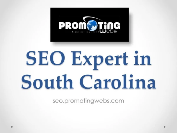 SEO Expert in South Carolina - seo.promotingwebs.com
