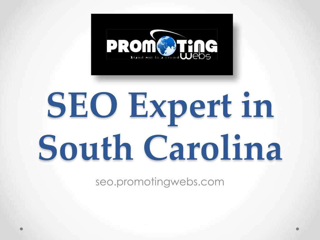 seo expert in south carolina