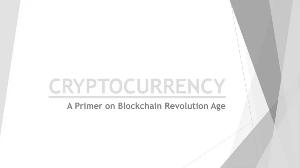 A Primer on Blockchain Revolution Age