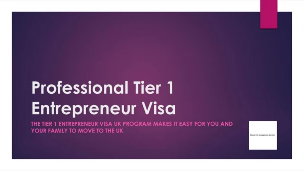 Professional Tier 1 Entrepreneur Visa