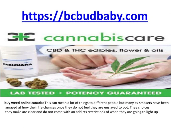 https://bcbudbaby.com