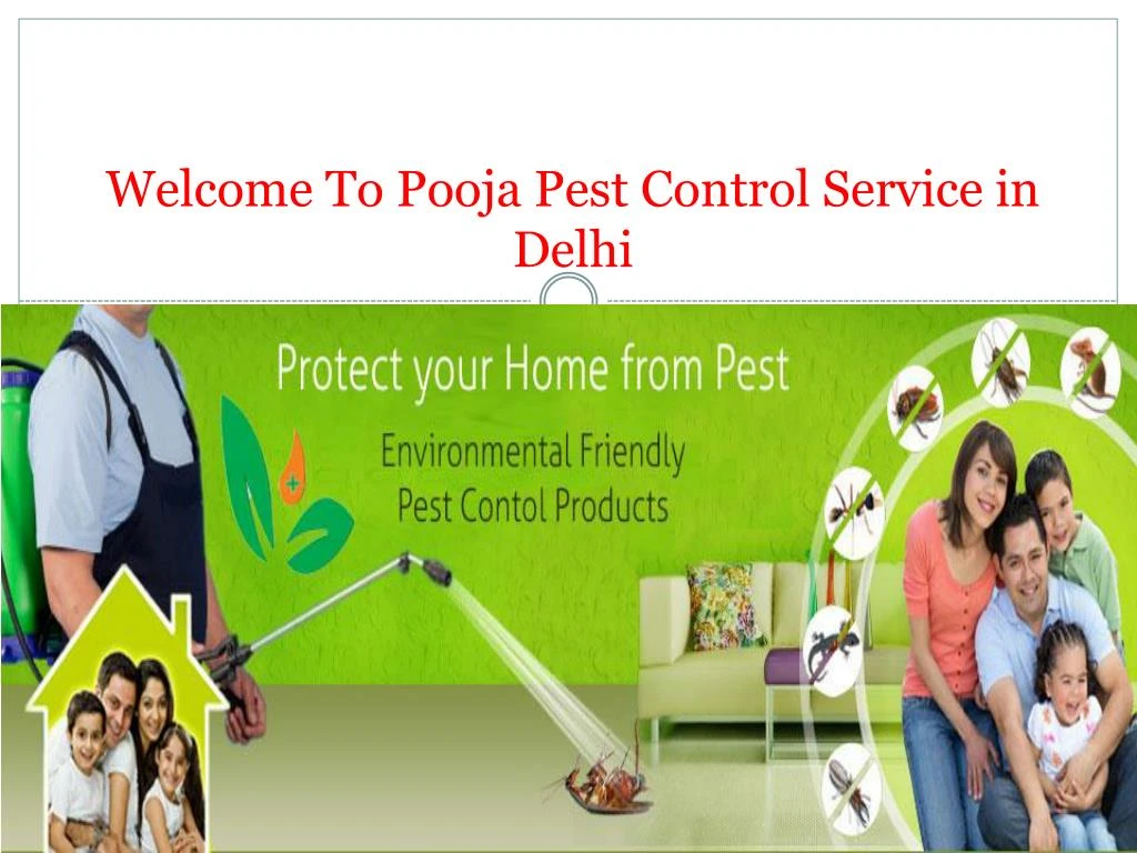 welcome to pooja pest control service in delhi