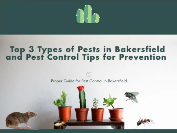 Proper Guide on Different Types of Pest and How to Control them | Pest Control Bakersfield