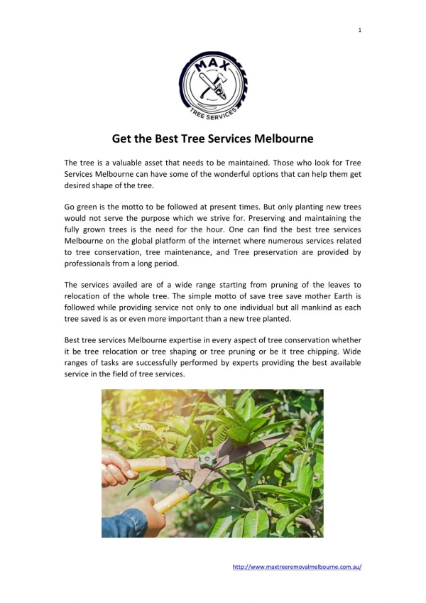 Get the Best Tree Removal Services Melbourne