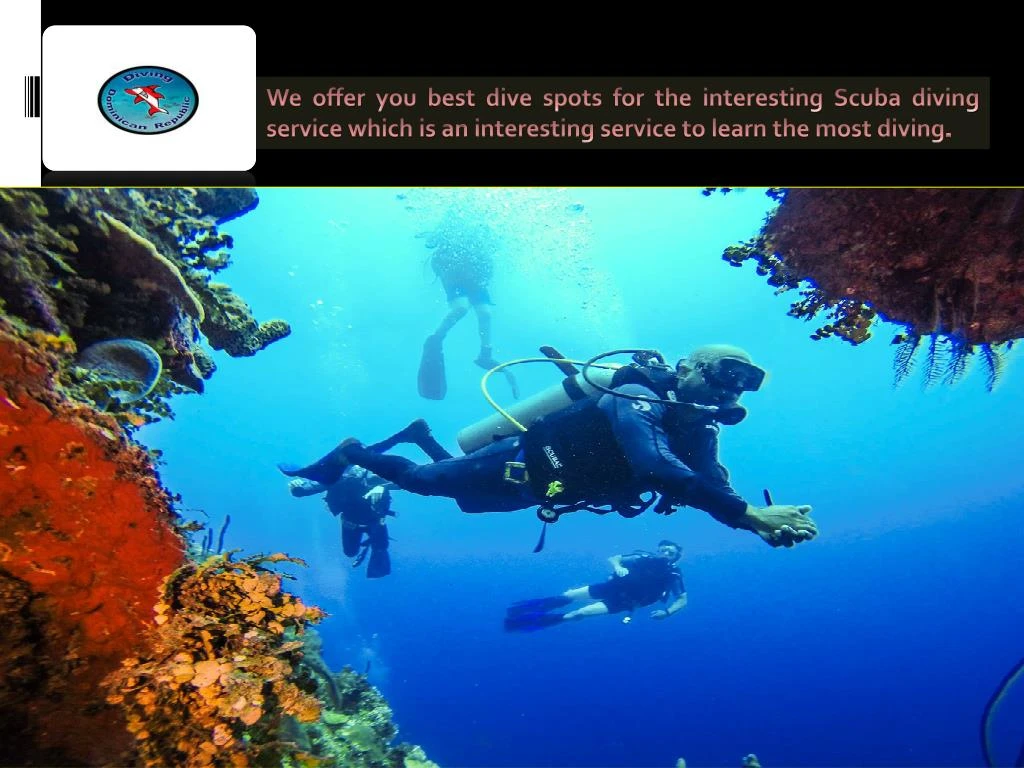 we offer you best dive spots for the interesting