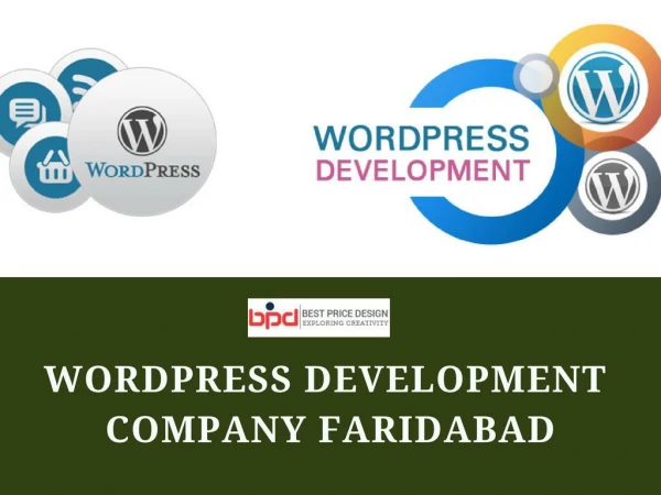 Wordpress Development Company in Faridabad