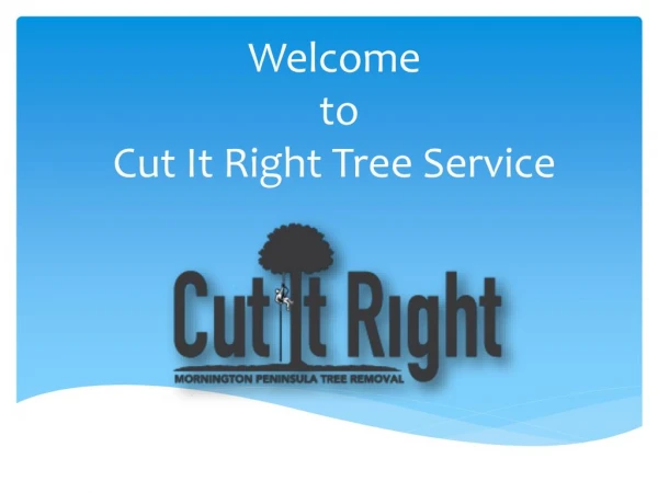 Tree Removal Mornington, Langwarrin, Frankston | Cut It Right Tree Service