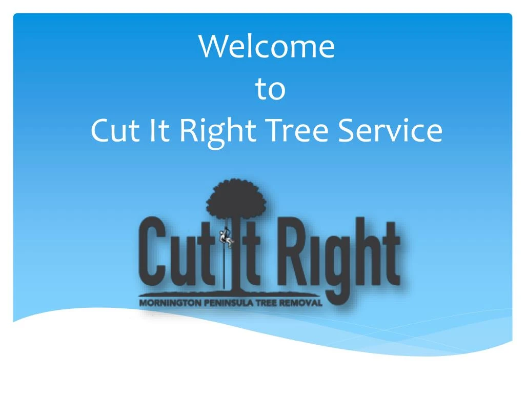 welcome to cut it right tree service