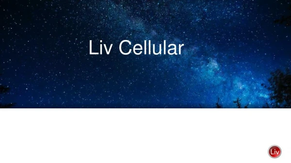 Enjoy social networking everywhere with Liv Cellular