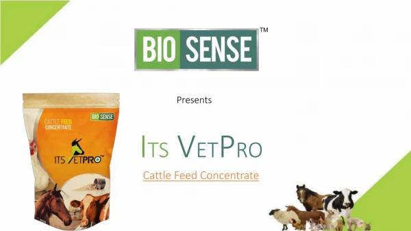 Its VetPro | Herbal and Safe Supplement for Animals | Supplement for Animals