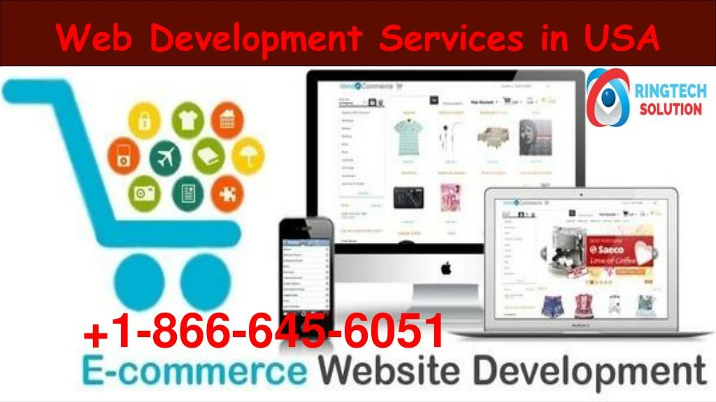 web development services in usa