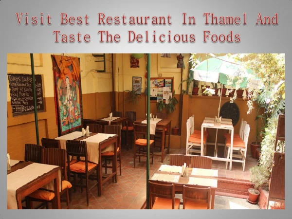 Visit Best Restaurant In Thamel And Taste The Delicious Foods