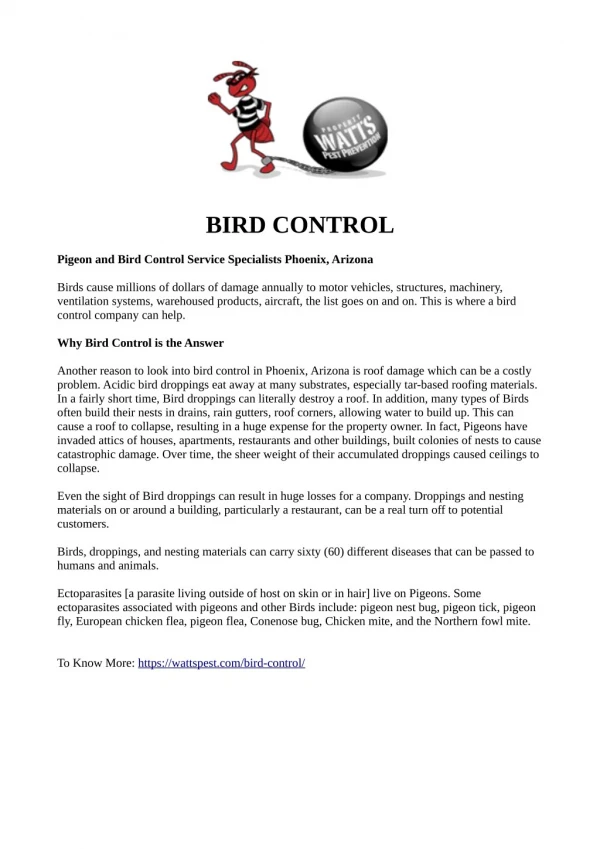 Pigeon Control Phoenix AZ