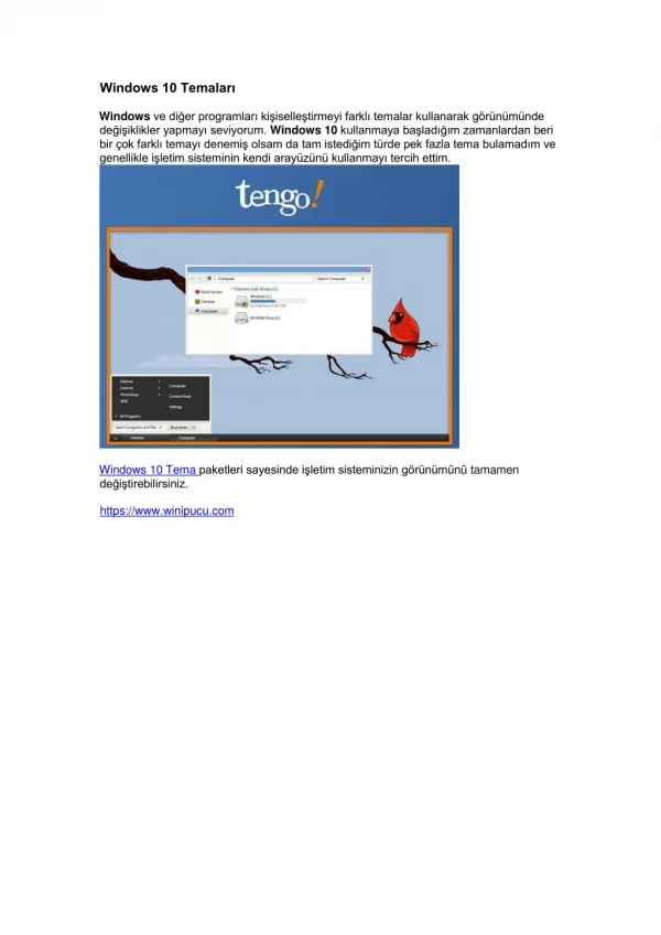 windows 10 temalar