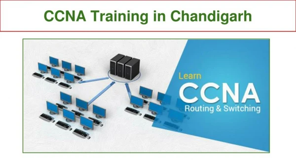 CCNA Training in Chandigarh