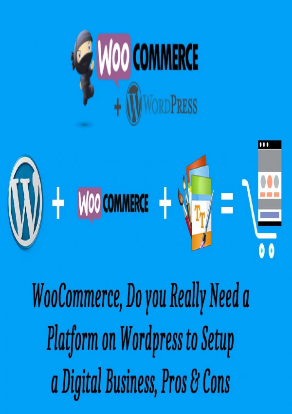 WooCommerce, Do you Really Need a Platform on Wordpress to Setup a Digital Business, Pros & Cons