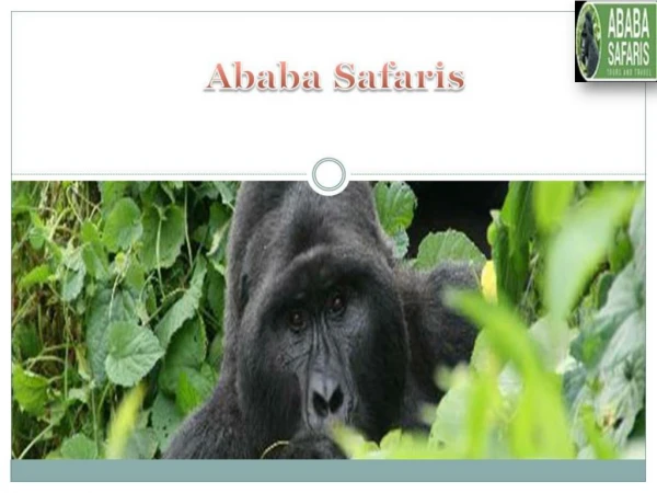 Tips on Planning Gorilla Trekking Safari in Uganda and Rwanda