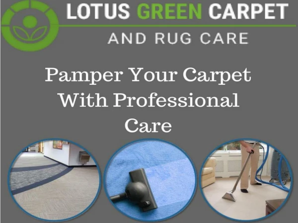 Rug Cleaning Services in Washington