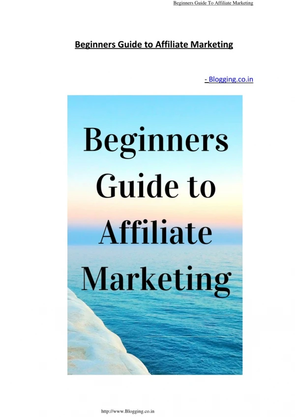 Beginner Guide to Affiliate Marketing