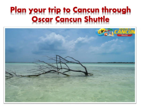 Plan for Transportation from Cancun to Holbox through Oscar Cancun Shuttle