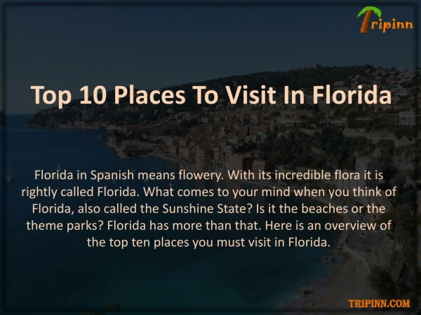 Top 10 Places To Visit In Florida
